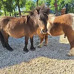 Mi 公寓 *